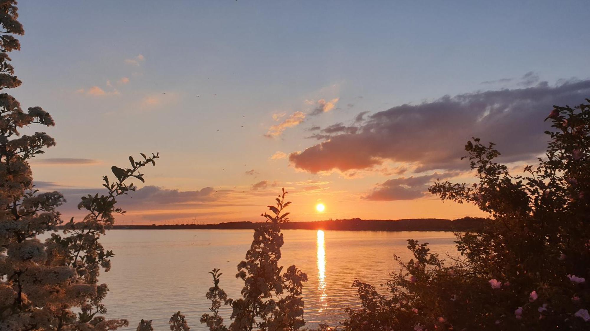 Seensucht & Urlaubstraeume, Ferienwohnung "Strand-Romantik" Senftenberg Buitenkant foto