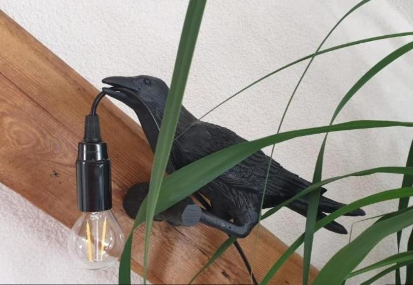 Seensucht & Urlaubstraeume, Ferienwohnung "Strand-Romantik" Senftenberg Buitenkant foto